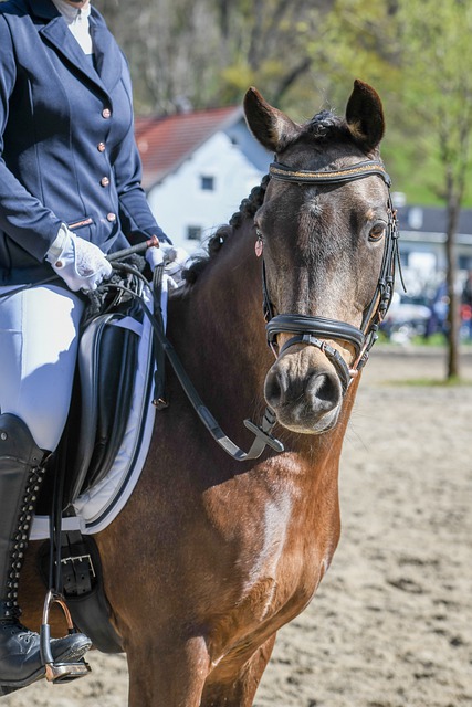在经历长时 在经历长时