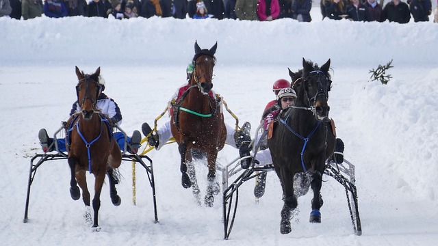 都会影响球 都会影响球
