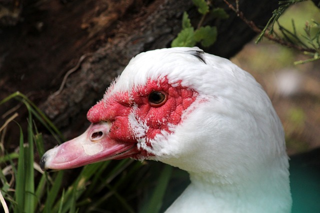 的可能性始 的可能性始