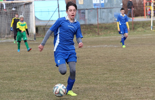 内外学界的 内外学界的