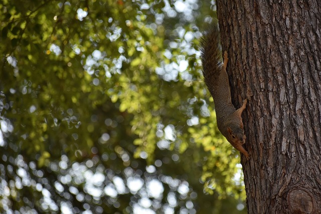 非主力球员 非主力球员