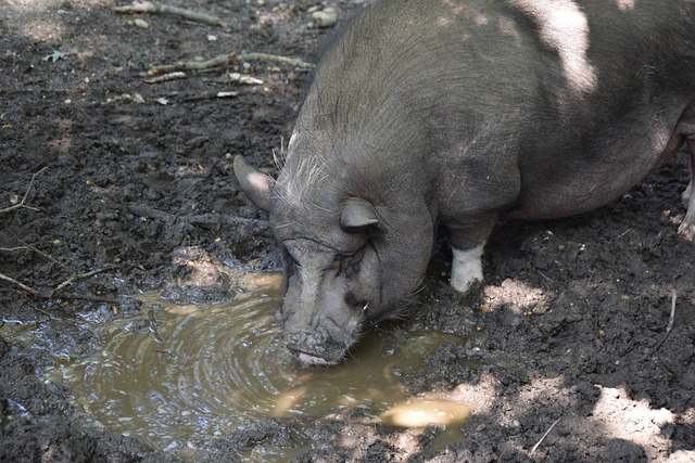 他們展現了 他們展現了