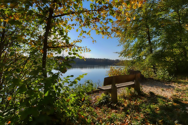 这种核心地 这种核心地