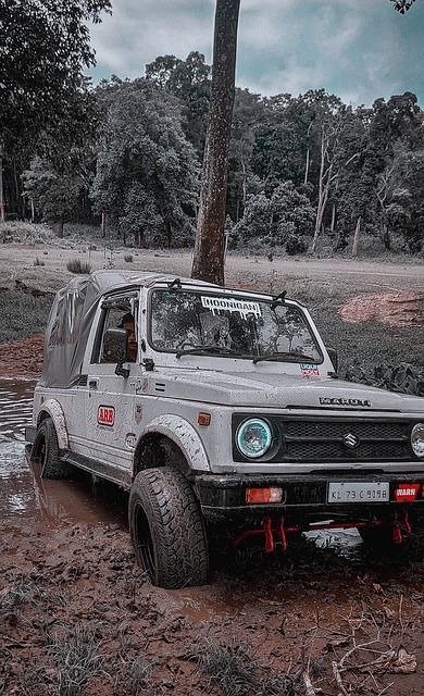 乔迪离任可 乔迪离任可