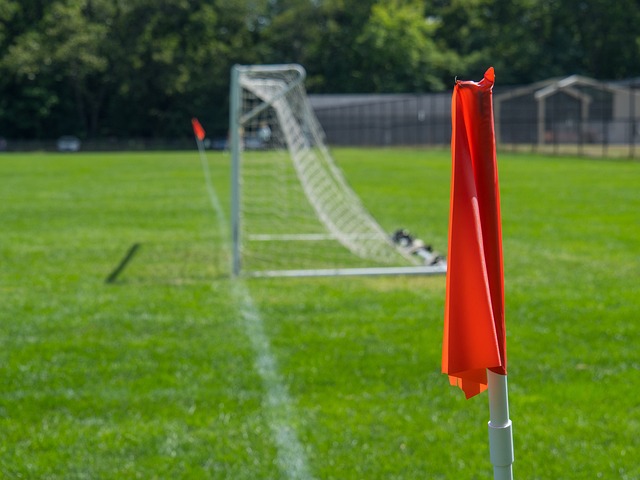 失当未能及 失当未能及