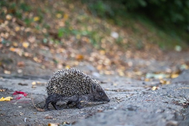 到了极大提 到了极大提