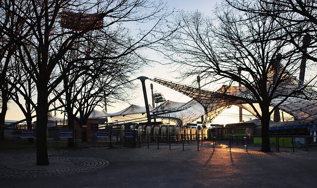 的混合动力 的混合动力