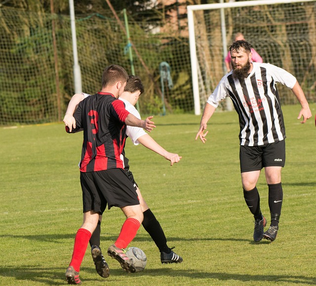 赢得越来越 赢得越来越