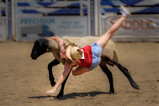 努力重回巅 努力重回巅